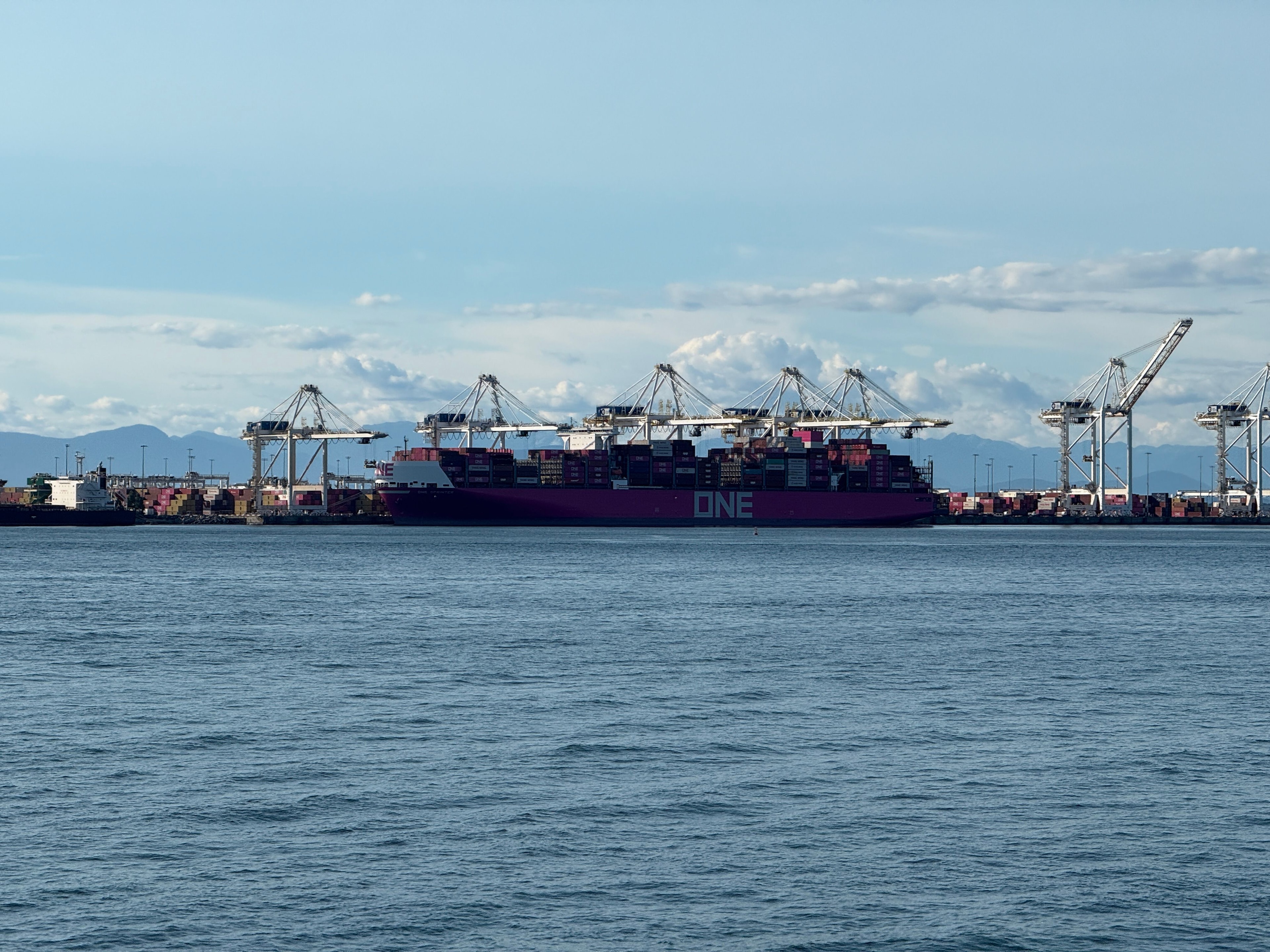 Large container ship berthed at port terminal with gantry cranes — illustrative photo for container feeder chartering enquiry