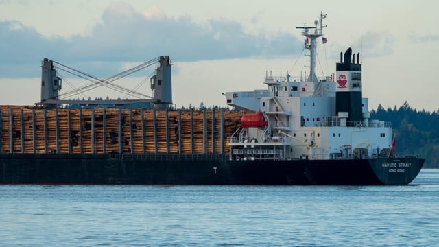 Cargo vessel loaded with bundled timber logs at a port — illustrative photo for sawn lumber chartering enquiry